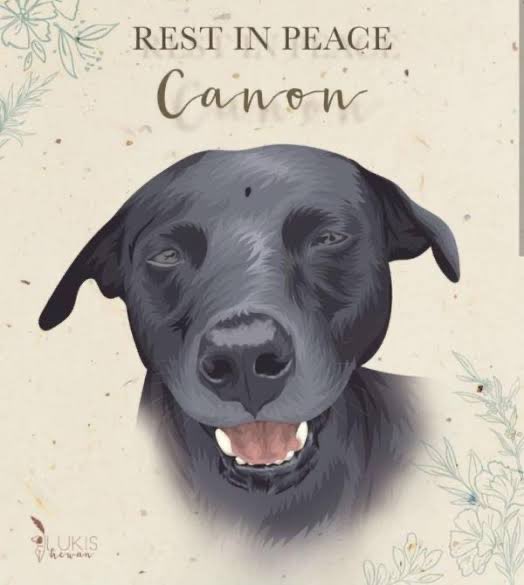 NermiSilaban's tweet photo. Berhentilah mengartikan haram sebagai kebencian. Dan kebencian itu pun akan menular ke orang lain. 
#RIPCanon 
#MemahamiManusia 
#MemahamiAnjing 
#Anjing 
#Canon https://t.co/xdqszxtYzO
