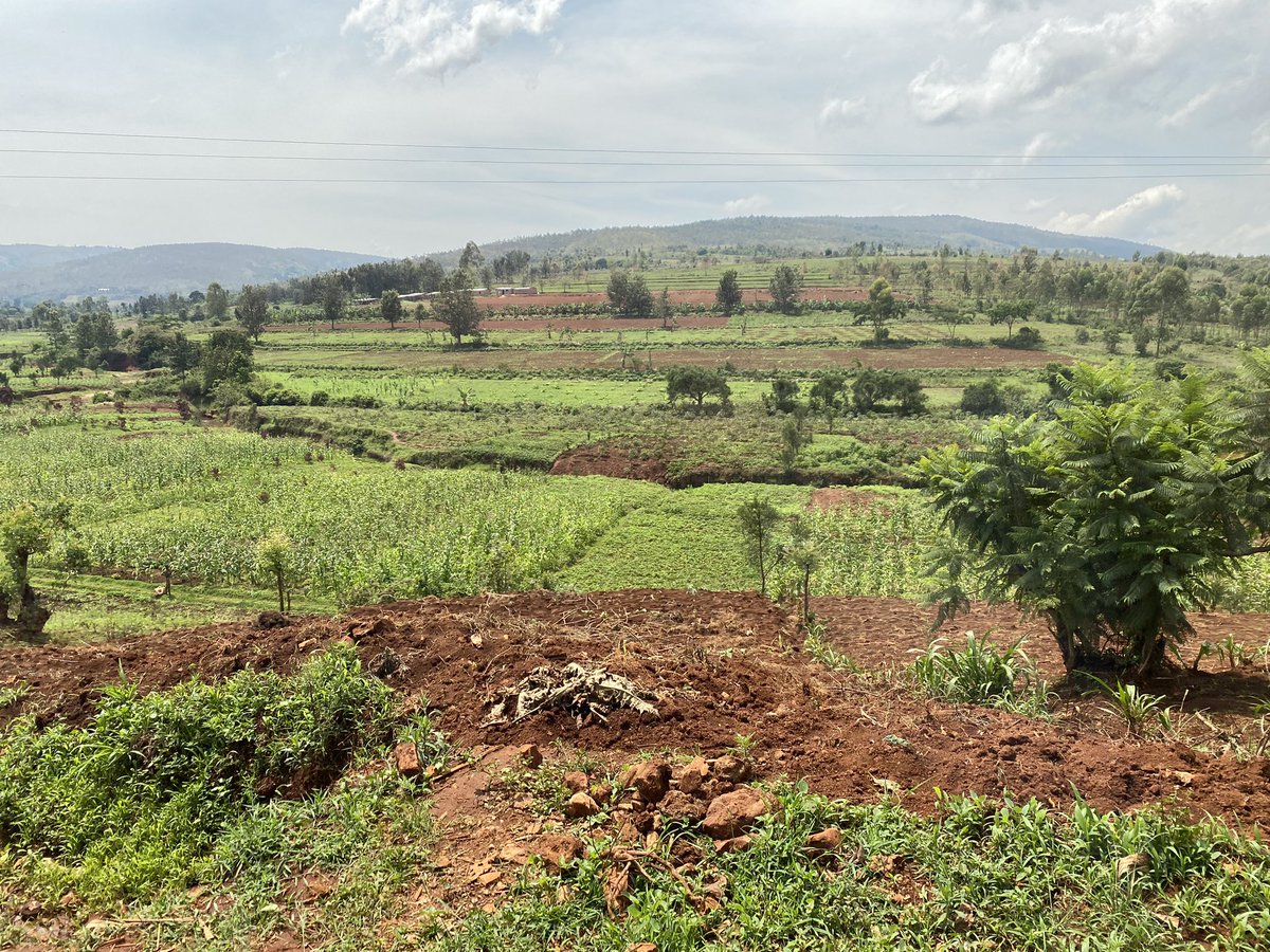 caterinaiametti's tweet photo. Beautiful Burundi, GITEGA, Mutoyi . https://t.co/gs8diBoYX4