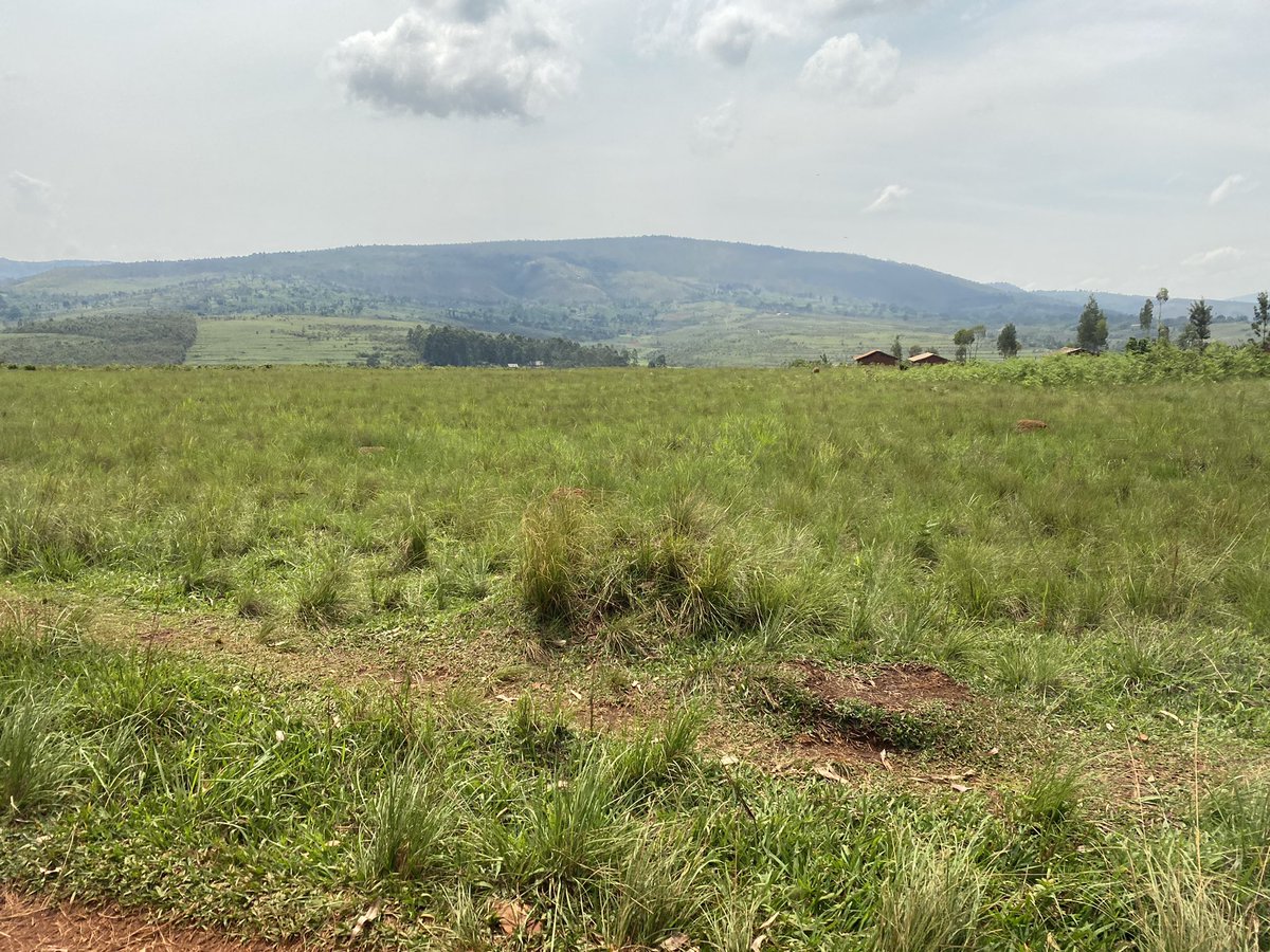 caterinaiametti's tweet photo. Beautiful Burundi, GITEGA, Mutoyi . https://t.co/gs8diBoYX4