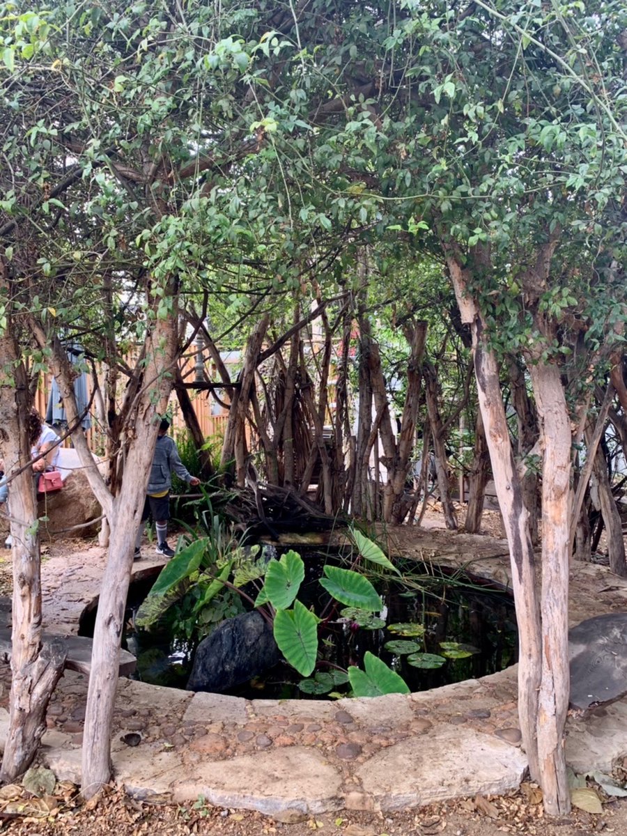 LCShah's tweet photo. I work with amazing community partners. @MoonwaterFarm, tucked in a quiet equestrian neighborhood in South Los Angeles, focuses on sustainability, agriculture, and social equity. The founders created a stunning urban sanctuary for all ages. Put this on your list of hidden gems. https://t.co/ASZPInMAxt