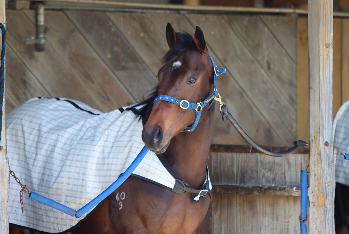 ANZ News tweet media