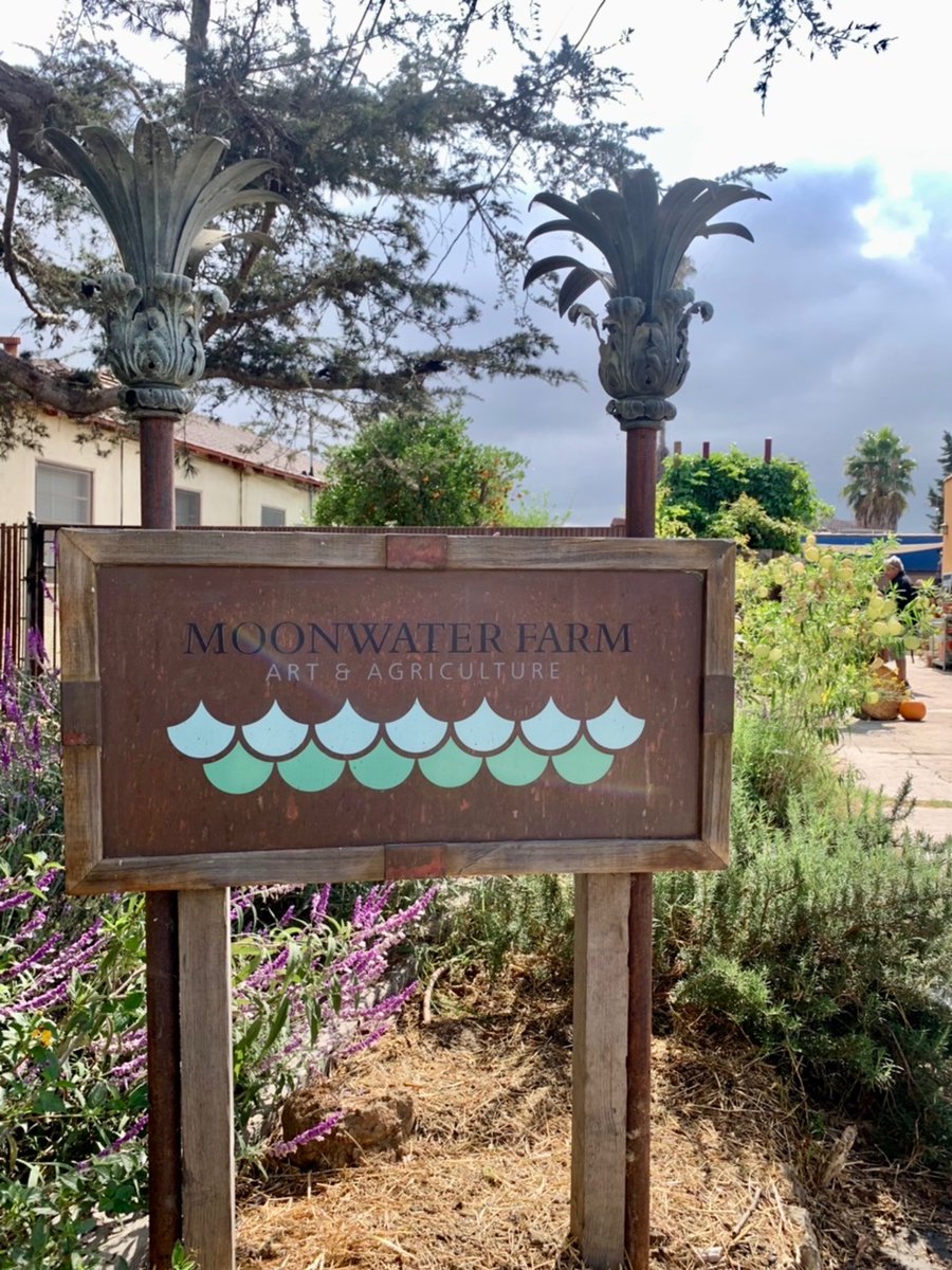 LCShah's tweet photo. I work with amazing community partners. @MoonwaterFarm, tucked in a quiet equestrian neighborhood in South Los Angeles, focuses on sustainability, agriculture, and social equity. The founders created a stunning urban sanctuary for all ages. Put this on your list of hidden gems. https://t.co/ASZPInMAxt