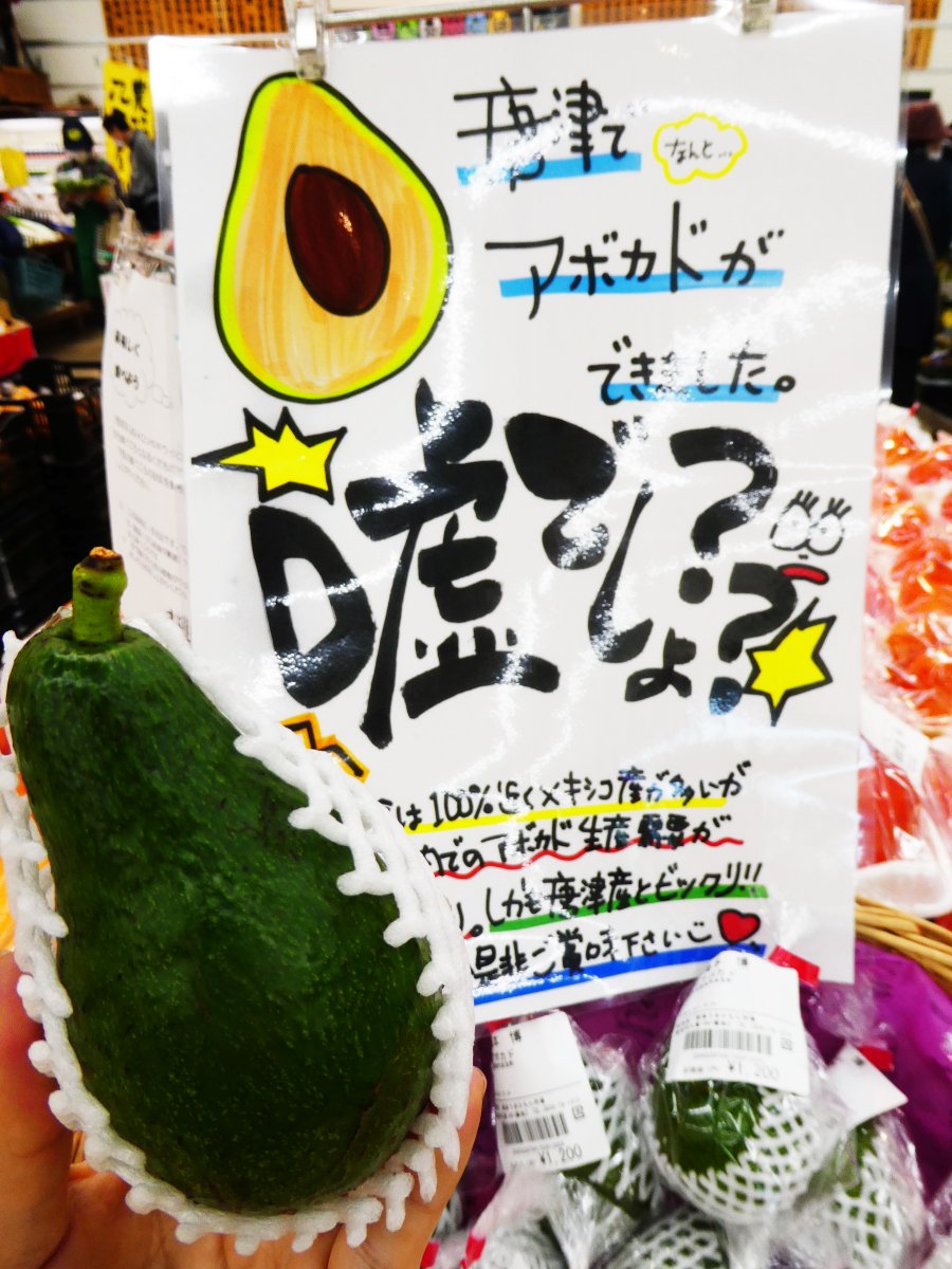 karaumakun's tweet photo. 嘘だよね？😳
唐津でアボカドできちゃったの？
アボカドってあのアボカド？🥑🥑
あのよくあのメキシコのあのあの
食べ頃か食べ頃じゃないか見極めが
難しいあのアボカド？😳😳😳😳
あの生ハムとかサーモンとかと合わせて
食べたらあの美味しいアボカド？🥺💕
#嘘みたいな本当の話
#唐津うまかもん市場 https://t.co/6ncfU6BSUP