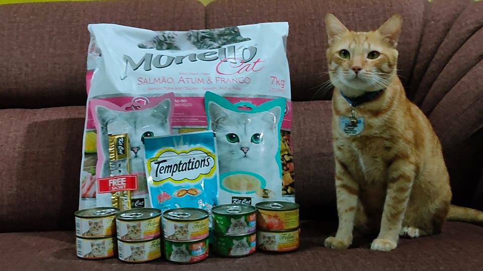 FiveRescues's tweet photo. Package all for a George?! WOWWWW!!!! https://t.co/qWxUHSRjR6