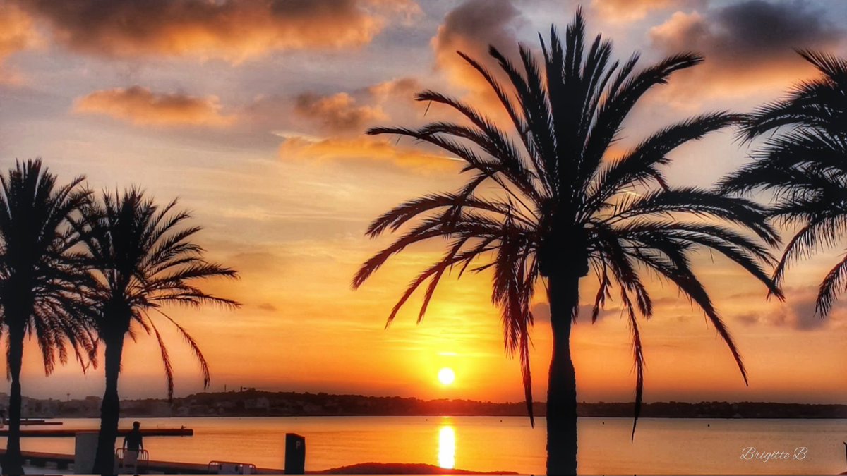 BrigitteB55's tweet photo. ☀️ Bonne journée 🌴
#sunrise #CotedAzurFrance #MagnifiqueFrance https://t.co/619938ffKh