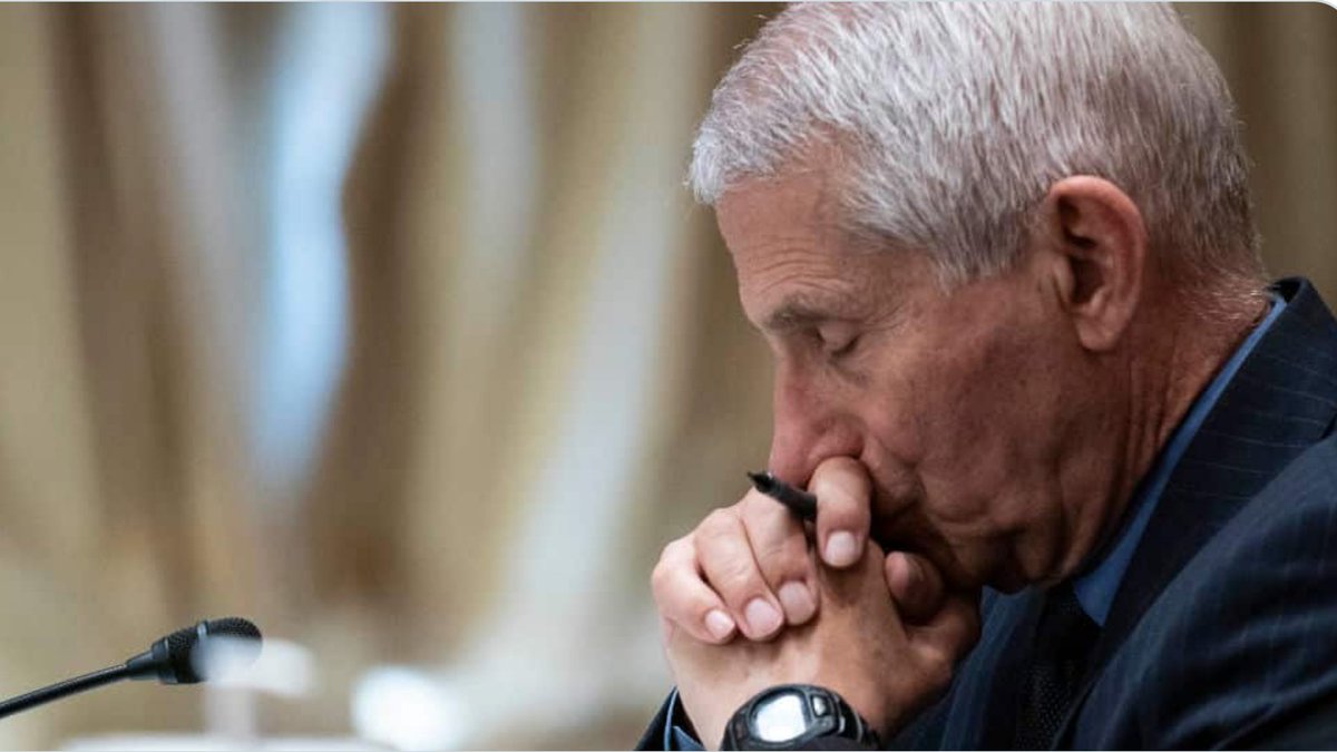 ErrolWebber's tweet photo. Among other things, the dogs had their vocal cords cut so they could not bark.

Anthony Fauci, everyone.

#FauciDogTorturer #FauciLiedDogsDied #ArrestFauci https://t.co/ORfln1VyeF