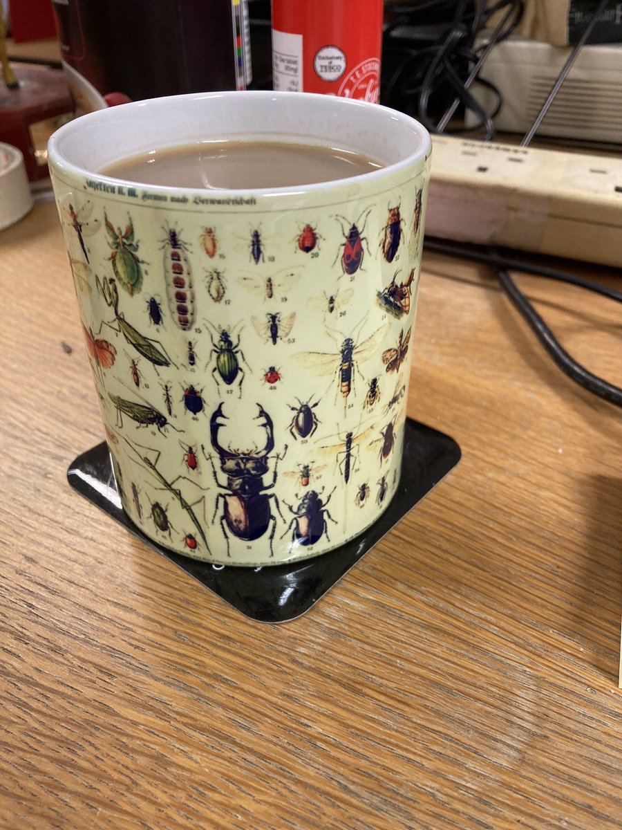 shotbert's tweet photo. @AshWhiffin @EntCollNet Here’s my Ento mug https://t.co/WhU63oldgQ