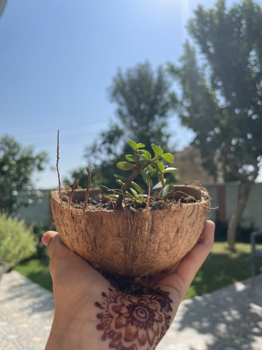 ruchikaaverma's tweet photo. Doing stuff until college starts. #DIYjade https://t.co/Ys6DEVlygv