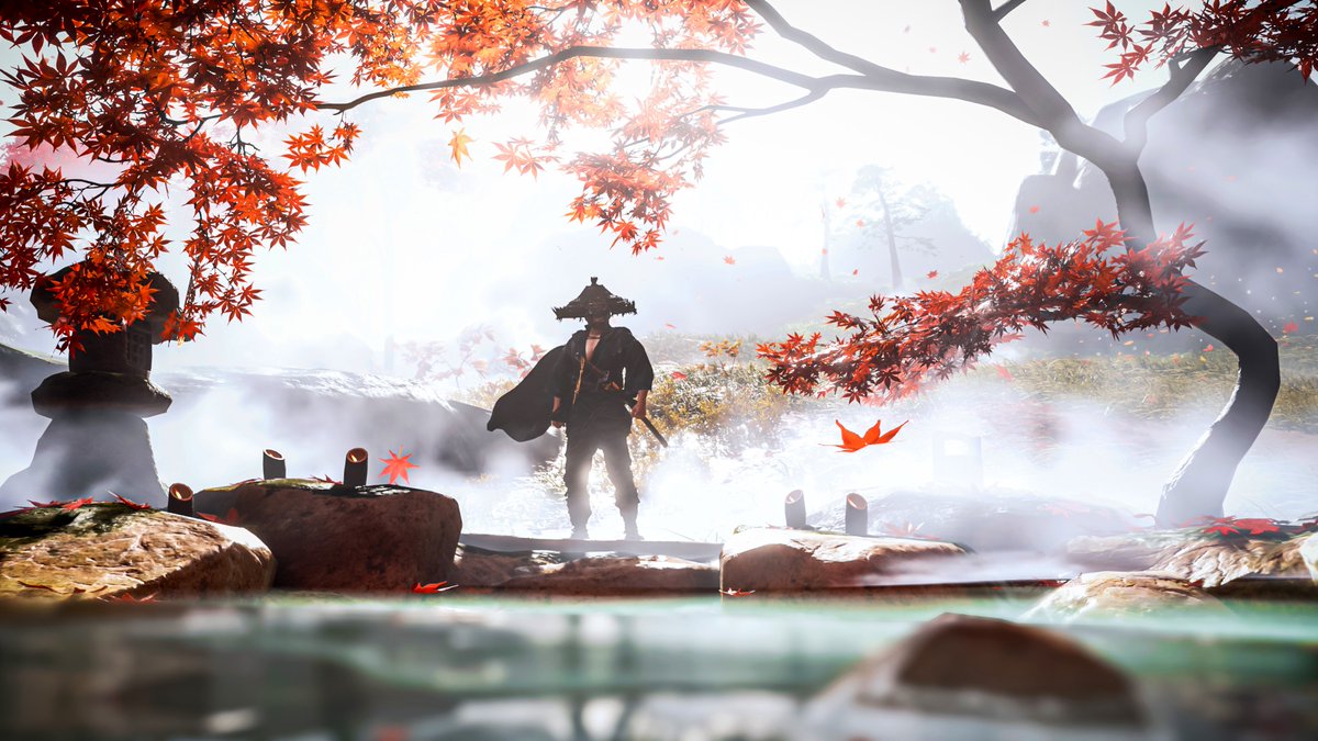 CoalaTV 📸 tweet media