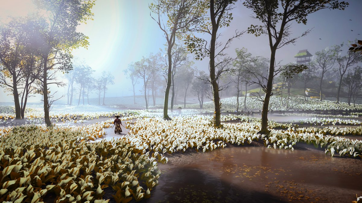 CoalaTV 📸 tweet media