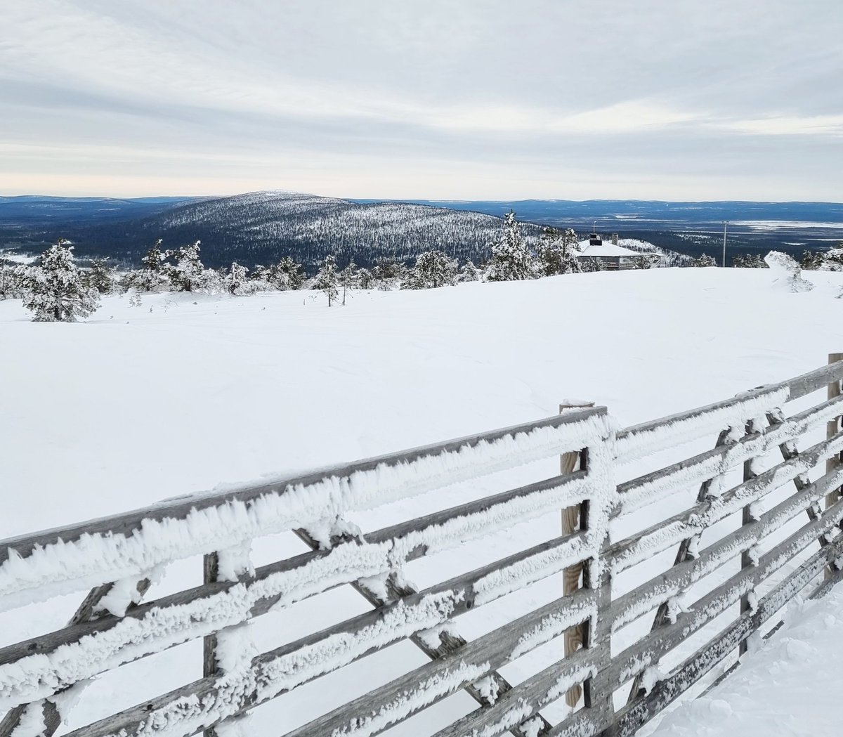 Talvi on saapunut tunturiin! Lunta on tullut reilu viikon aikana paikoin lähes puoli metriä.