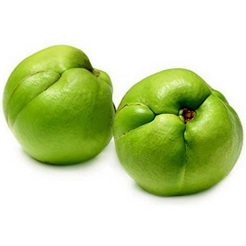 Elephant apple. Dillenia Indica, Дилления индийская, Чалта.. Чалта фрукт. Плод слонового яблока. Слоновье яблоко фрукт.