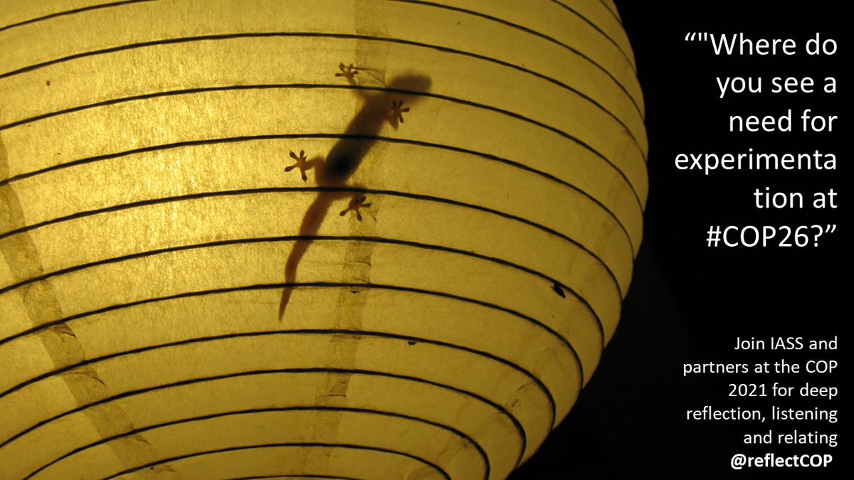 The #IASS_potsdam space at the #COP26Glasgow  is intended as an open, experimental and safe space for participants and partners.  Todays question: "Where do you see a need for experimentation at #COP26 and which specific ideas do you have for that?" #reflectCOP