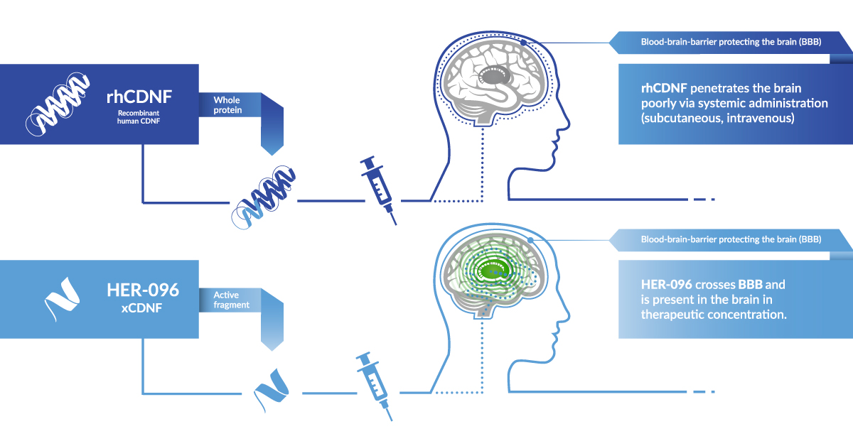 Herantis Pharma Plc. Provides R&D Update and Information About New Biomarker Program: herantis.com/press-releases… #HerantisPharma #ParkinsonDisease #Biotech #CDNF #xCDNF #DiseaseModifying #healthtech #DrugDevelopment