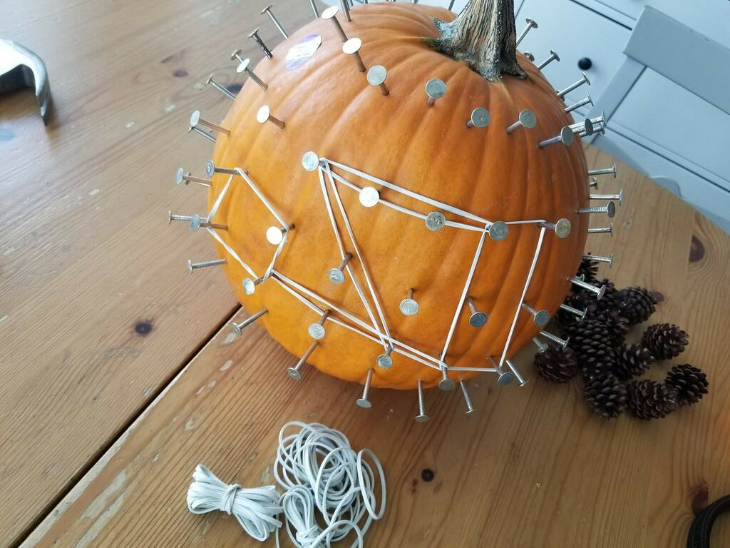 budding_flowers's tweet photo. Geo pumpkin all ready to go for the littles to explore tomorrow morning. https://t.co/pDfUnggdfu