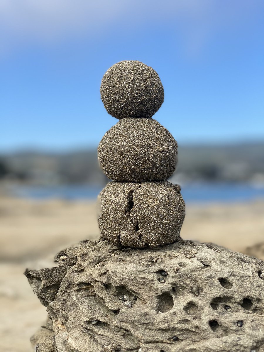 pufferfishfun's tweet photo. Monday reminder: it’s never a bad time to build and stack some #sandglobes 🐡🌍

#pufferfishfun #beachlife #globes #sandart https://t.co/dj1DGmqBji
