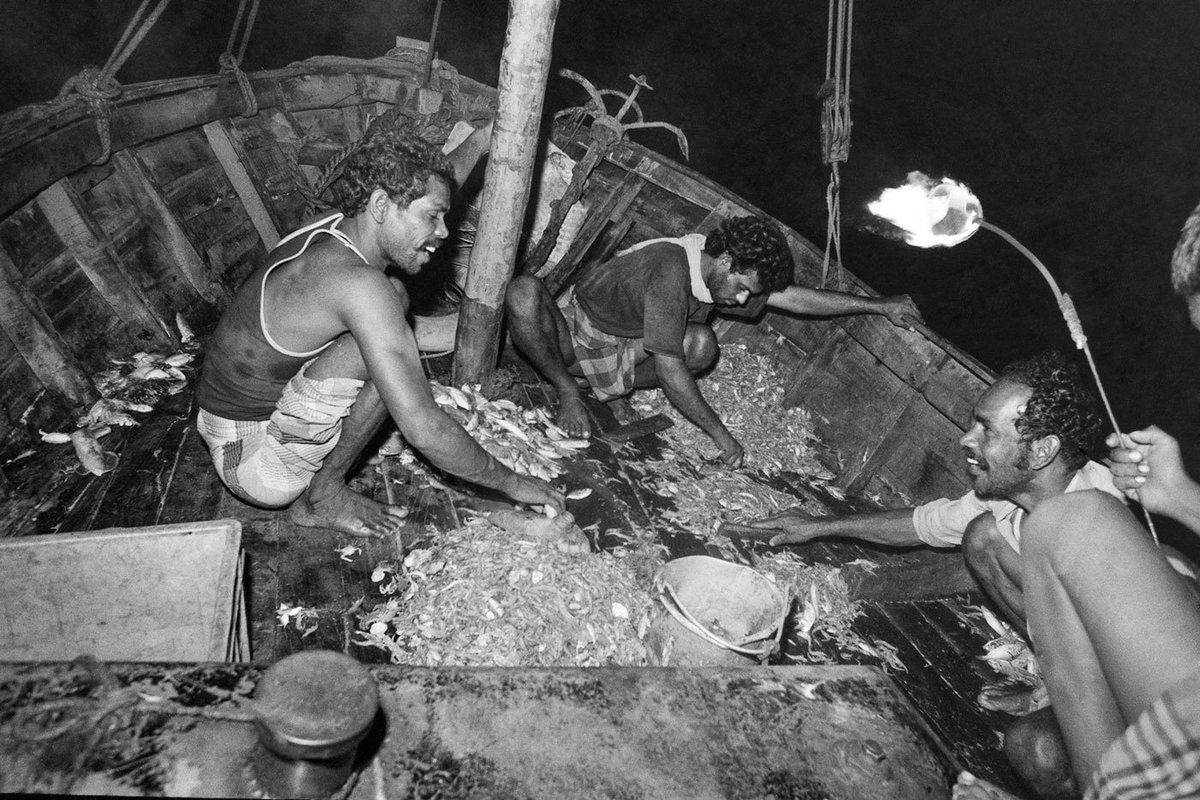 PSainath_org's tweet photo. 1/4. The ‘mechanised boat’ had no source of light beyond a burning kerosene-soaked rag at the end of a stick held up by one of the Fernando fishermen. Which worried me. How was I going to take photographs in this darkness? Story link at end of thread.
#fishing #Fishermen https://t.co/Tm6QpS4X1D