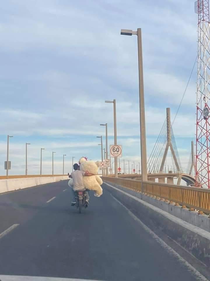 El oso gigante era para su hija! ❤️ #Amordepadre #Québonitoeslobonito 
Cruzó el Puente Tampico en moto y con el enorme peluche para hacerla feliz a su nena

facebook.com/11160007735160…