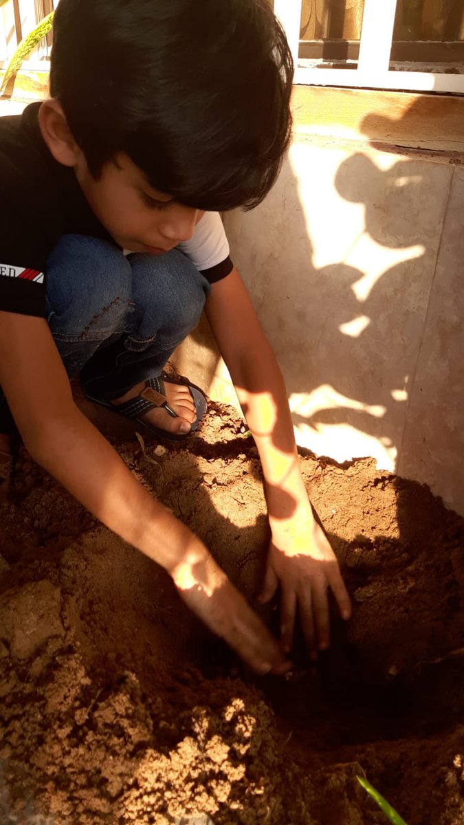 OOB_GEMS's tweet photo. We are already experiencing impacts from climate change as a result of global warming. Going green and planting trees are the most effective ways to combat climate change. #OOBPrimary facilitates #PlantED, a global tree planting initiative, as part of the #CAP2021. https://t.co/9suxoZGHQH