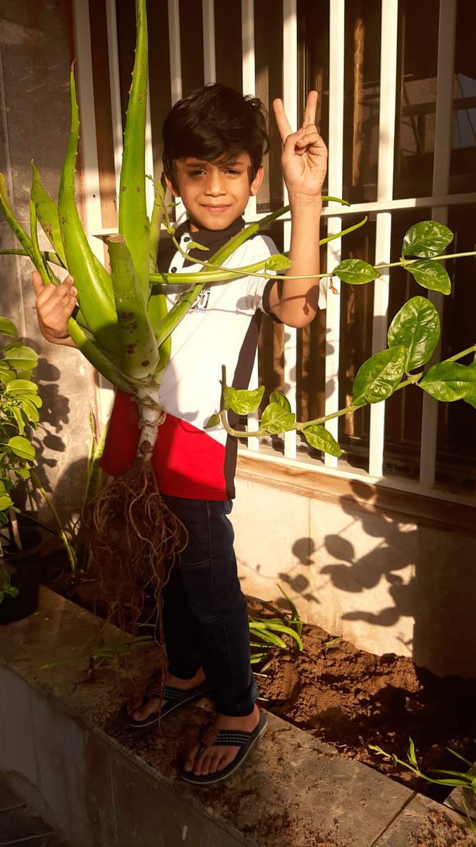 OOB_GEMS's tweet photo. We are already experiencing impacts from climate change as a result of global warming. Going green and planting trees are the most effective ways to combat climate change. #OOBPrimary facilitates #PlantED, a global tree planting initiative, as part of the #CAP2021. https://t.co/9suxoZGHQH