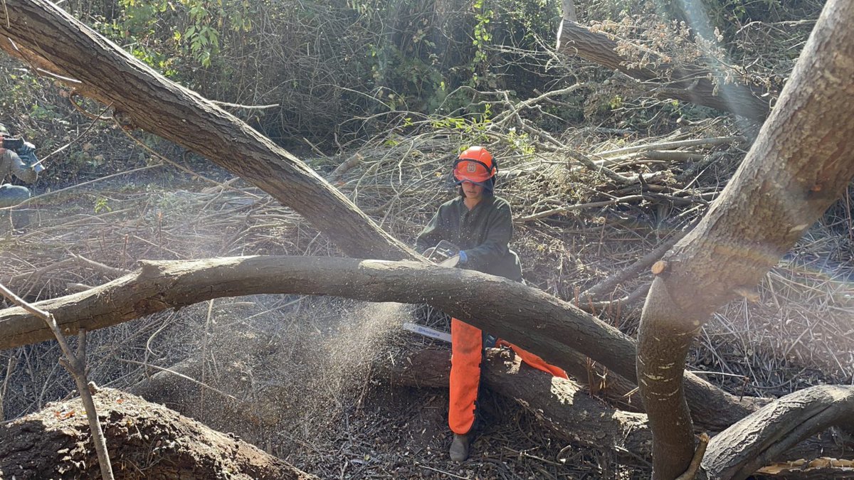 Lisa Wayne is leaving Rec &amp; Park after 25 years as a  Park Natural Areas Manager to work for the SF Public Utilities Commission, where she’ll be land &amp; watershed manager for the Crystal Springs Watershed. Good luck, Lisa! Read about her story here: bit.ly/3bbAdQu