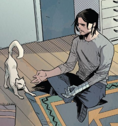 BuckyFiles's tweet image. 