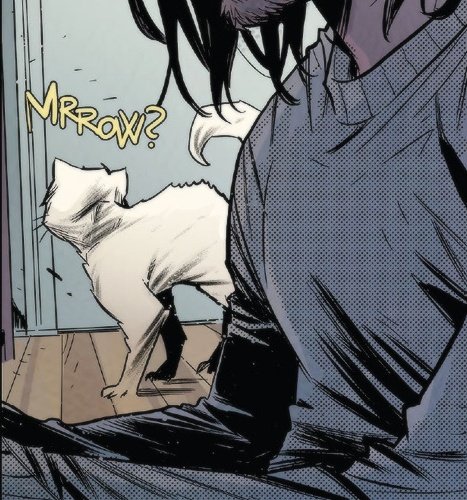 BuckyFiles's tweet image. 