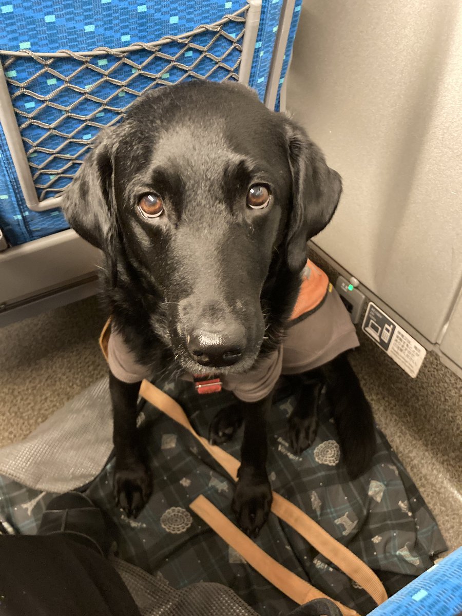 安藤美紀 Andoumiki Twitter