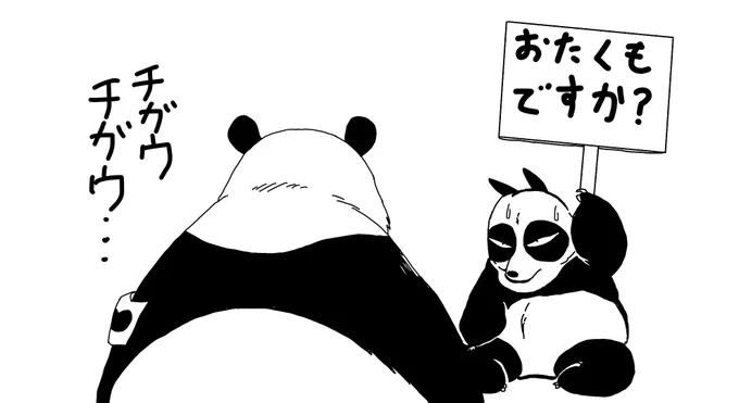 #今年も残りわずかなので今年一番伸びた絵を貼る
パンダ先輩と先輩パンダ
10分で描いたのに6000こえるファボ頂けてビビりました☺️
ちなみに4時間以上かけた絵は2～4ファボでした😇 