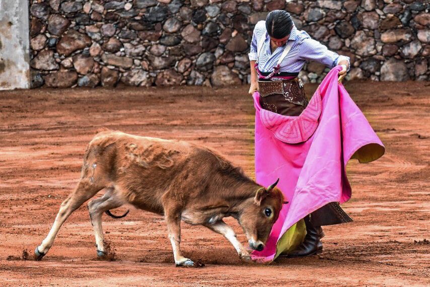 ToreroHistorico's tweet photo. 🇲🇽Galería #CampoBravo matador @EJCalita !
Link 📲 https://t.co/boeMsCME9D

📷 Tauroagencia https://t.co/VQqTYuD5E3