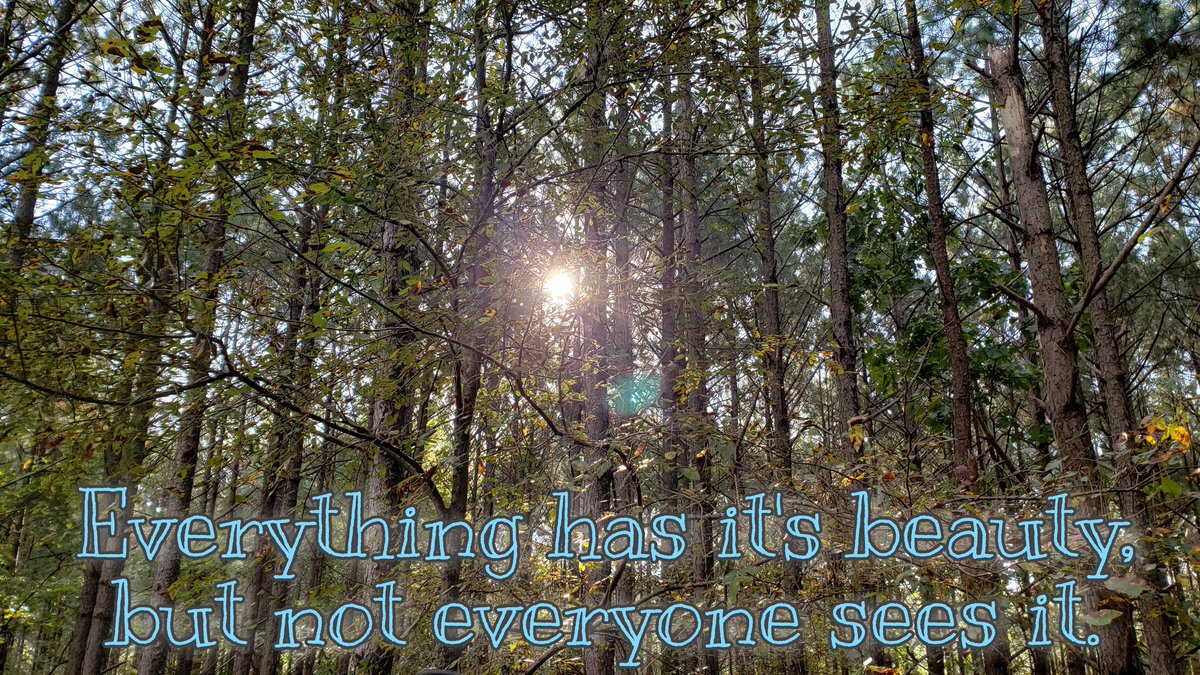 Doe Range tweet media