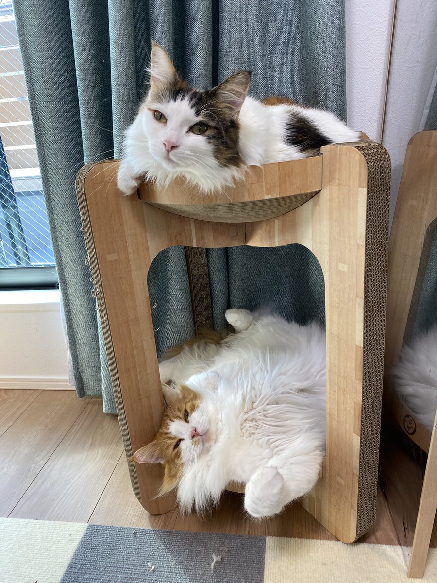 おはようございます☀