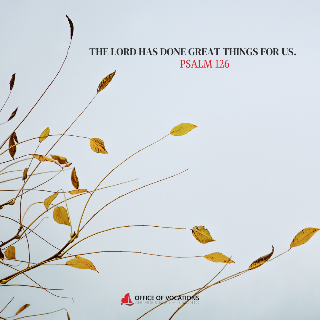 Office of Vocations tweet media