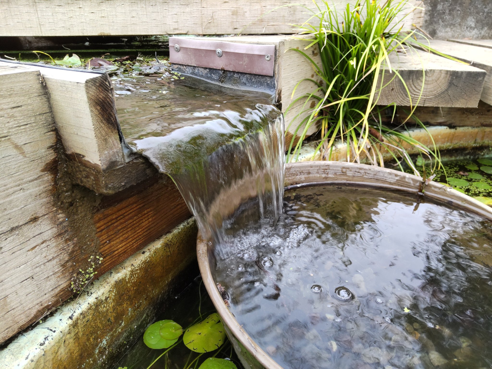 水研クリエイト株式会社 北区小学校 ビオトープ 高低差のある敷地にビオトープを作る際は 水中ポンプによる循環を設置しています この小学校では 子供達からの 滝を作って欲しい という要望を受け 水が流れ落ちる音が聴こえるよう高低差のある