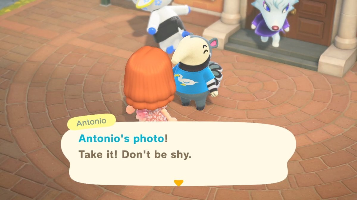 Juliecatac's tweet photo. #AnimalCrossing #ACNH #NintendoSwitch

Third photo from Antonio :D https://t.co/rPLP4C5HKN