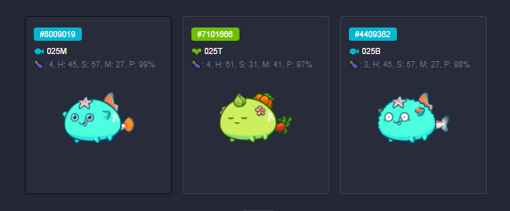 llevans_axie's tweet photo. Onboarded our friend @bela_jave tonight with this team 😍

LAF has reached 25 scholars total!! It has been a blast to watch the LAF community grow. Thank you so much! 😭😊 https://t.co/dvl4JoD0zU