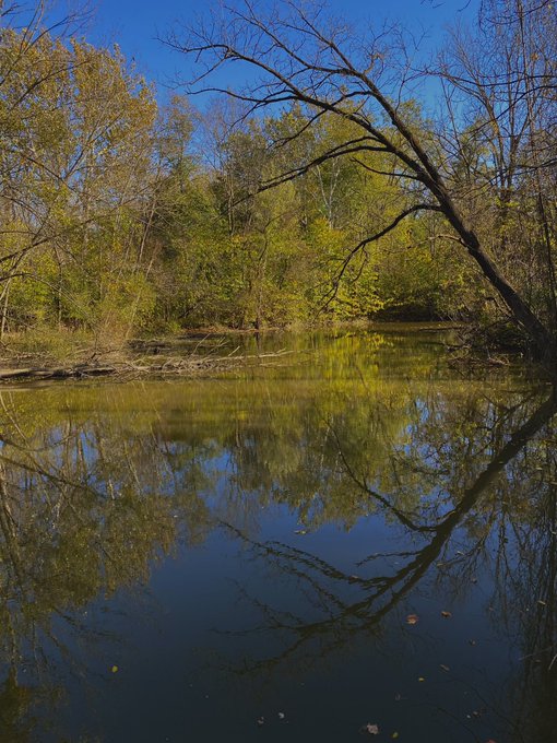 It was very nice to go for a walk and explore around my little town today 😊 https://t.co/Z3yjzKURWe<a href="/tag/newprofilepic"class="tags"><span>#newprofilepic</span></a>