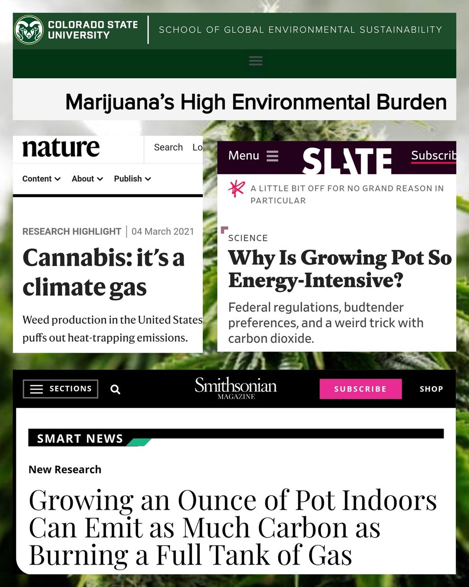 DawnTJ90's tweet photo. Pot smokers become skeptics in

3....
2....
1....

😏 https://t.co/3soIYXNxBj