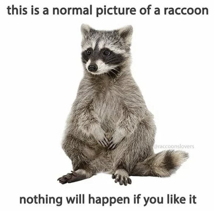 Go ahead…what could happen?