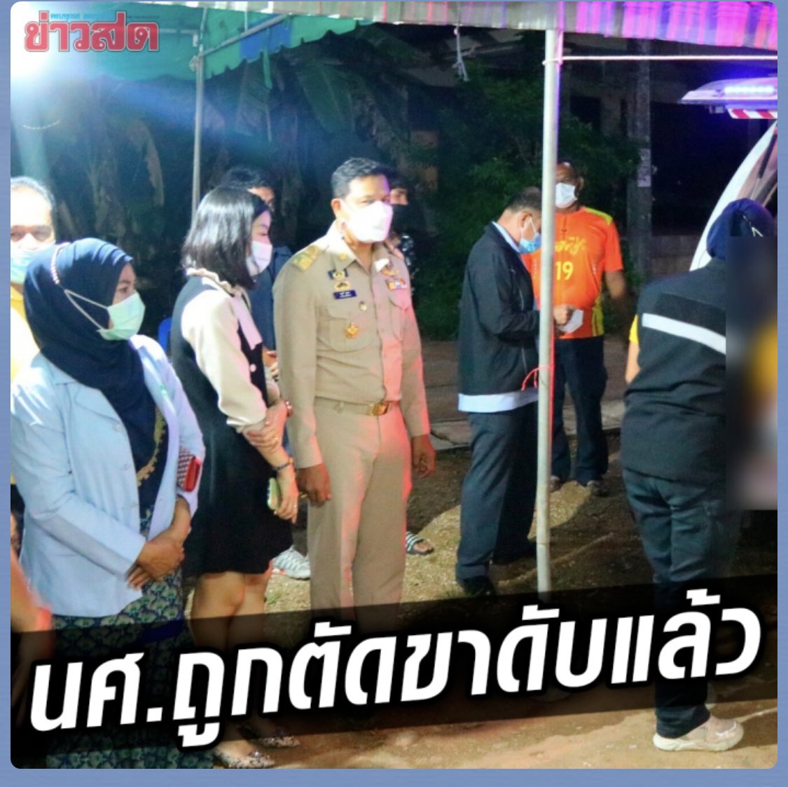 ฟอร์จูนที่มีหมา5ตัว tweet media