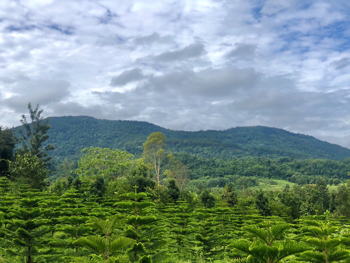 หลบโควิดมาอยู่บนเขา ช่วงนี้ใครอยากหลบโควิดมาพักเขาค้อ