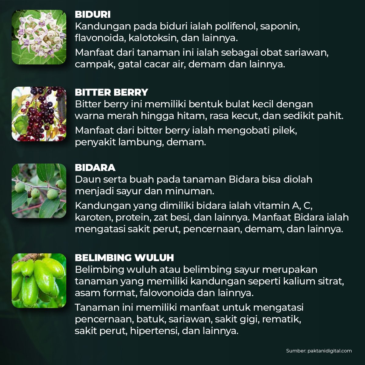 _kangkebon's tweet photo. Bercocok tanam merupakan hal yang menyenangkan, bisa menanam apa saja, salah satunya adalah jenis tanaman obat.

Ada berbagai jenis tanaman obat yang bisa Anda tanam di pekarangan rumah maupun lahan yang luas.

Check this out☺🌱

#tanamanobat #pertanian #perkebunan #indonesia https://t.co/aKAdXU9UJW