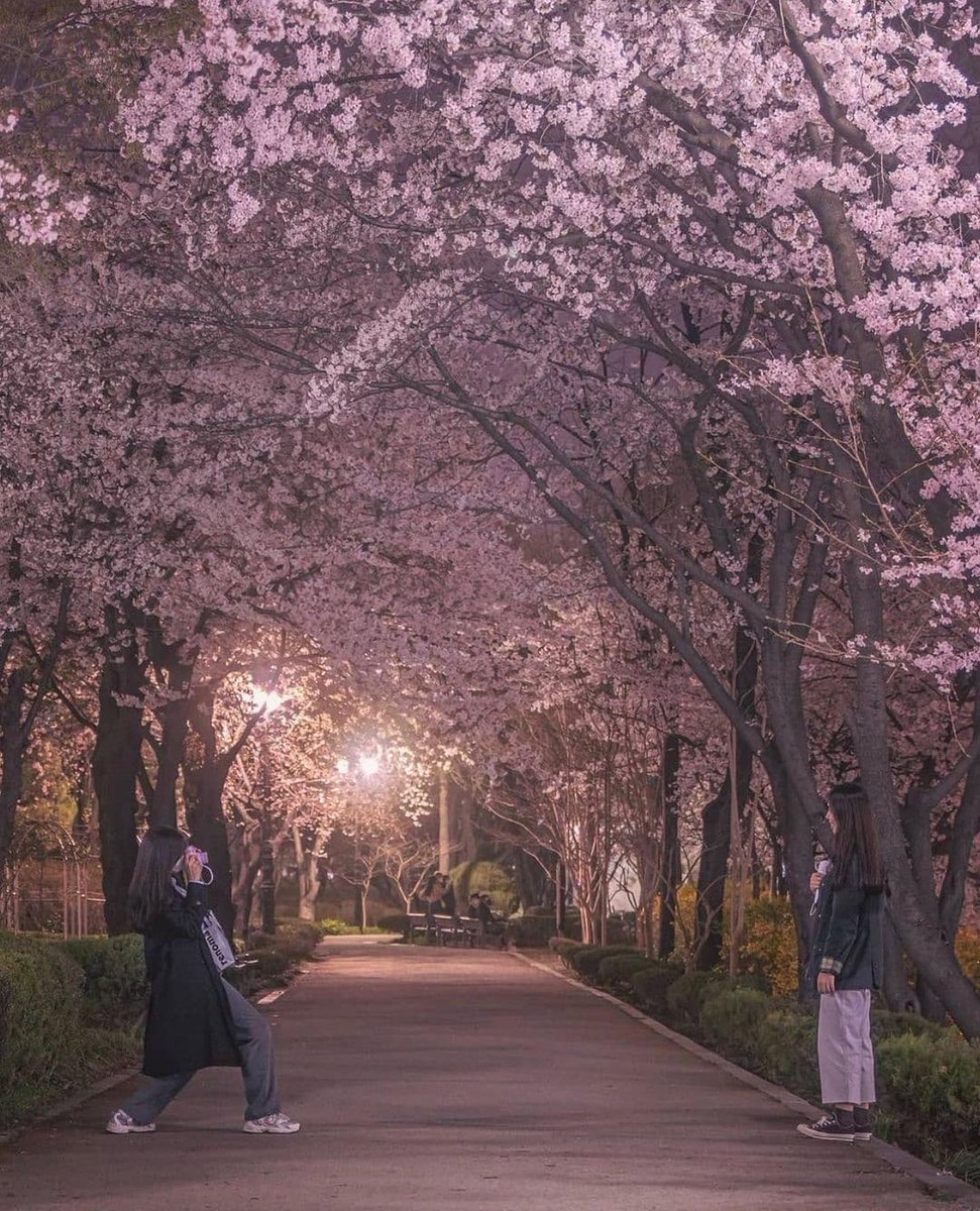Beautiful . I will go here in shaa Allah