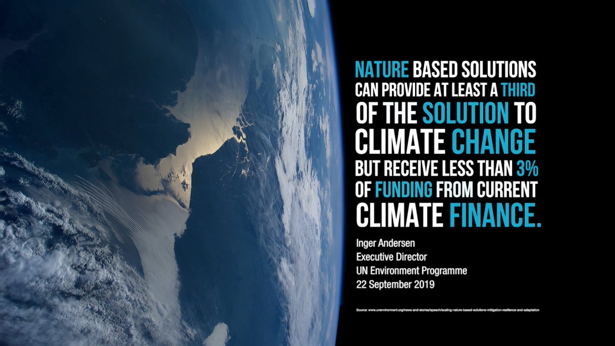 Friendly_Farms's tweet photo. @IISD_news @Liesbeth_C3 @guardian Precisely! Nature Based Solutions for climate recovery should be embedded at the heart of every NDC at #COP26 https://t.co/EjS8NK5RpC https://t.co/0UTYuGXhuS