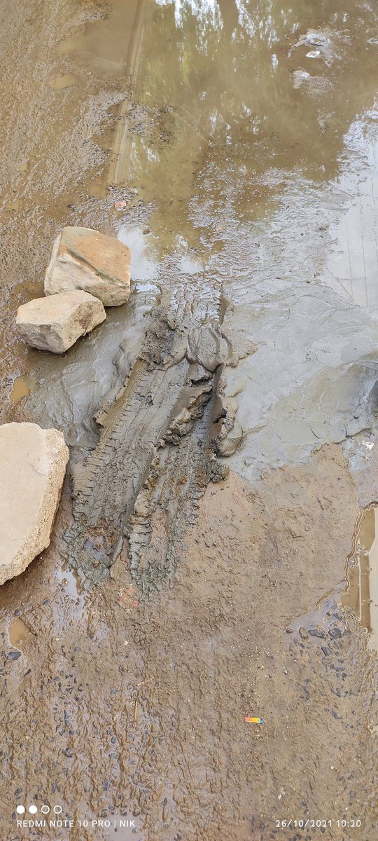 માધાપર જુનાવાસના મુખ્ય માર્ગ પર ૬ માસથી ગટરનું ગંદુ પાણી વહે છે, ડેન્ગ્યુ ને ખુલ્લું આમંત્રણ છે, ક્યારે જાગશે ગ્રામ પંચાયત, ગ્રામજનો ના આરોગ્ય સાથે રમત રમવાનો ગ્રામ પંચાયતને કોણે હક્ક આપ્યો છે......<a href="/CMOGuj/">CMO Gujarat</a> <a href="/KutchDdo/">DDO Kutch</a> <a href="/BhujCity/">Mamlatdar, Bhuj City</a> <a href="/pkumarias/">Pankaj Kumar</a>