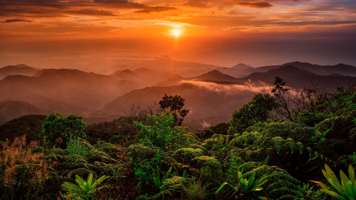 AromaCafes's tweet photo. #Viajar: La revista @NatGeo publica un artículo con las 7 Maravillas de Colombia, entre las que incluyen, el arte de producir un buen #café ☕ https://t.co/YySwjGaxui https://t.co/FLN1iqMcWB