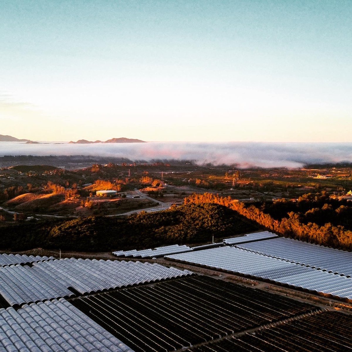 Gotta love these crazy clouds and low fog mornings.

#drone #dronephotography #aerial #clouds #fog #mountains #valley #sunrise