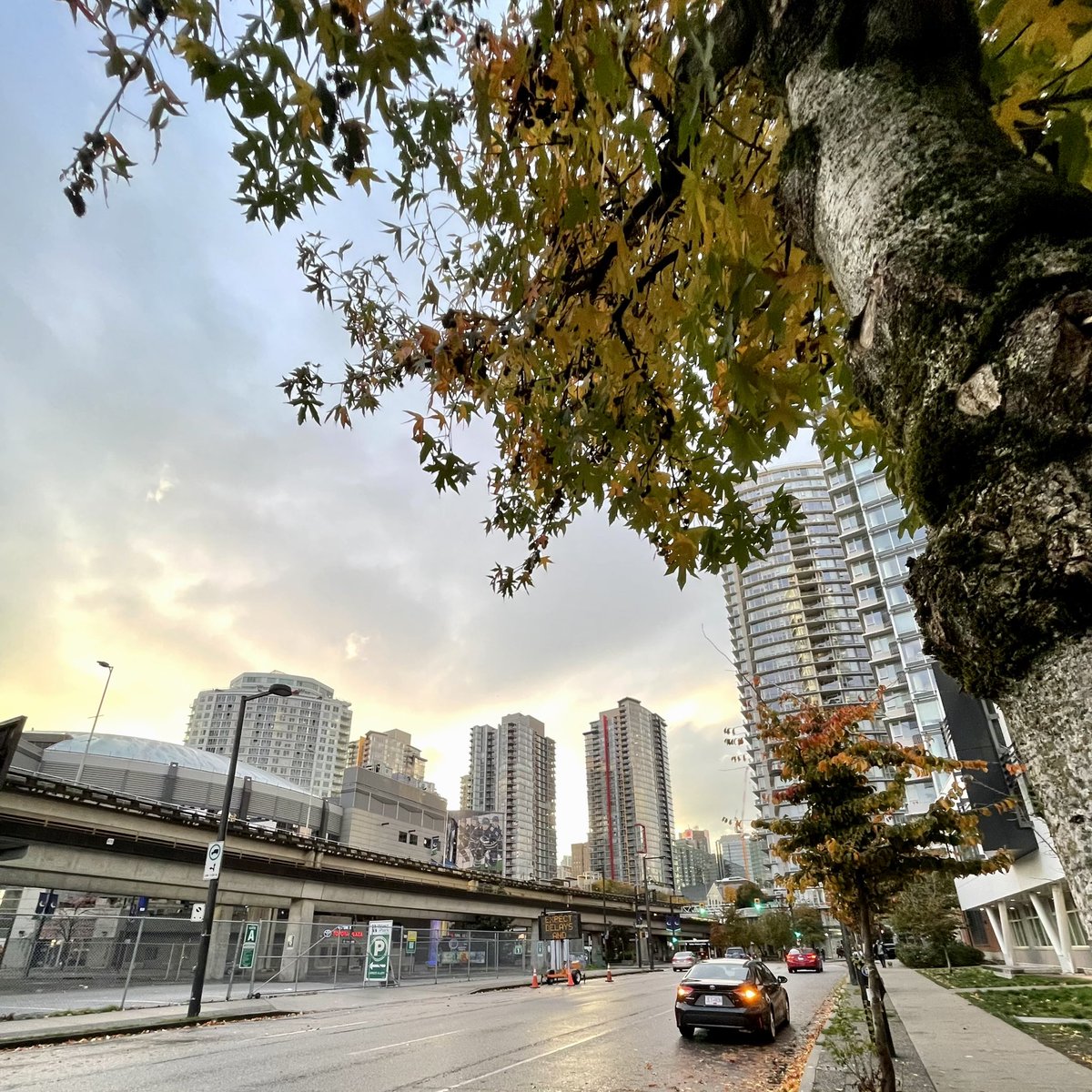 TheBaldWanderer's tweet photo. Fall in Vancouver. Caught these beautiful shots while walking around my neighborhood at sunset. Whatโs your favourite season and why?
#TheBaldWanderer #FallInVancouver https://t.co/tyYw38UejB