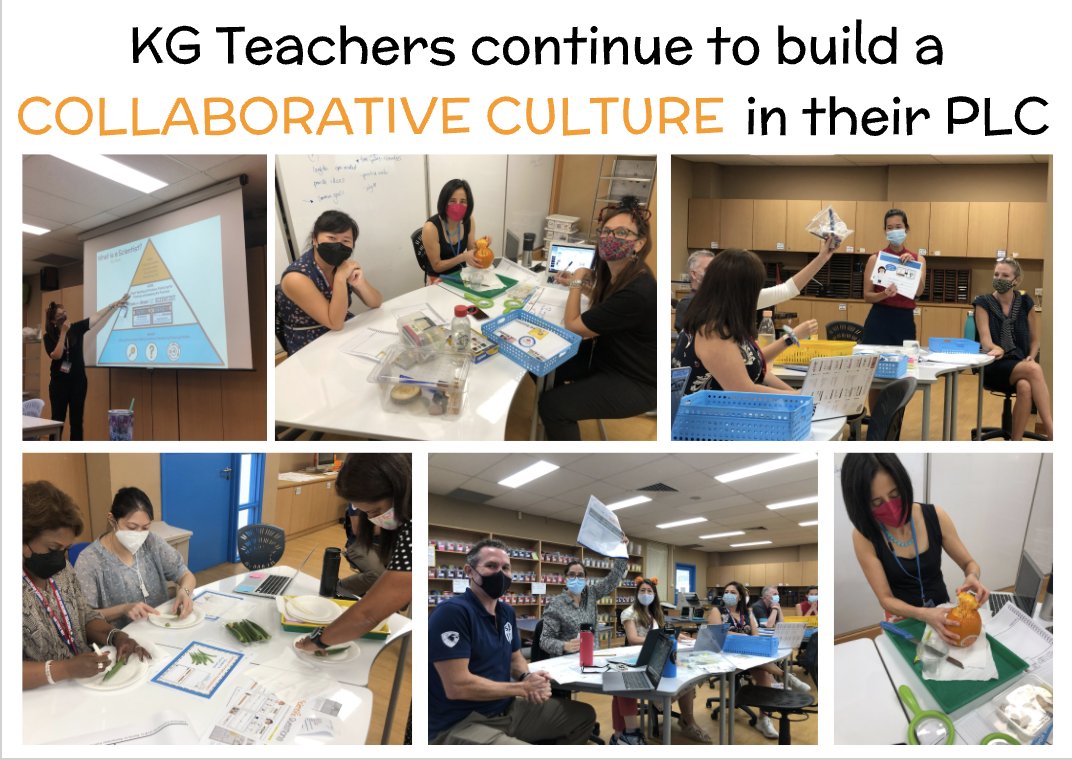 KelliBuxton's tweet photo. The @SAmericanSchool #Kindergarten team shares the cognitive load when prepping and planning for an upcoming #NGSS unit on cultivating Ss #curiosity where Ss learn how to #askquestions and #developmodels using a wide variety of specimens @sydneylolly https://t.co/2cRGlKCH5d