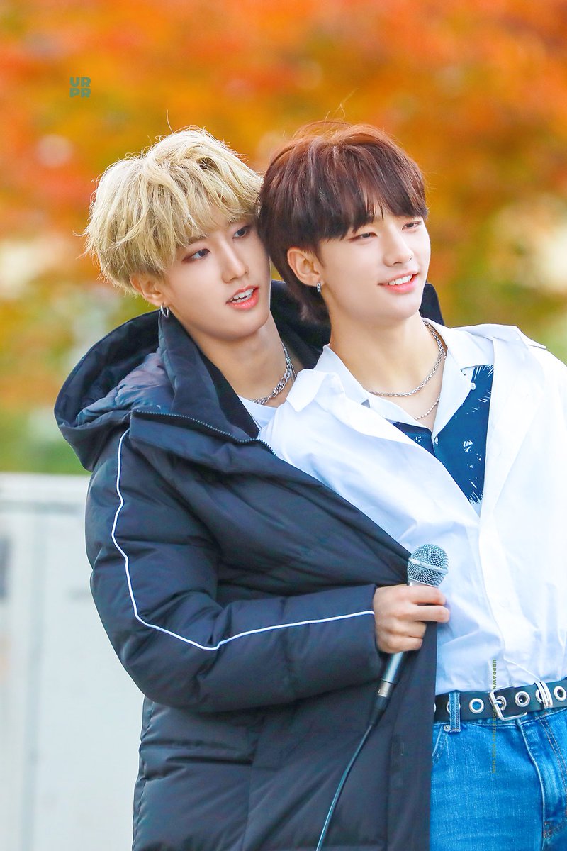 джисон и ти. чанбин и минхо. Stray kids ли минхо и хан джисон. джисон и хенджин. джисон и ти.